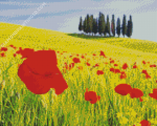 Red And Yellow Flower Fields Italy Diamond Paintings