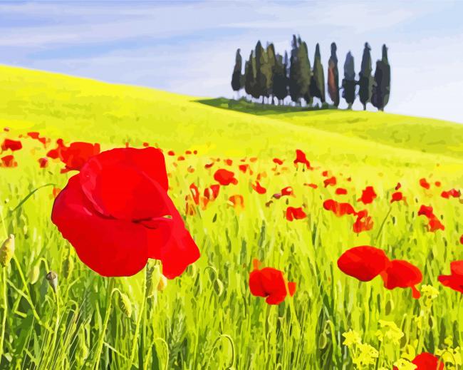 Red And Yellow Flower Fields Italy Diamond Paintings