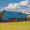 4468 Mallard Train Diamond Paintings