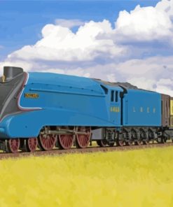 4468 Mallard Train Diamond Paintings