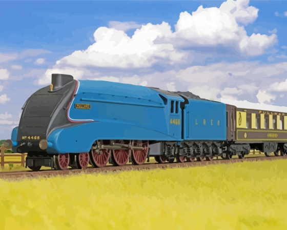 4468 Mallard Train Diamond Paintings