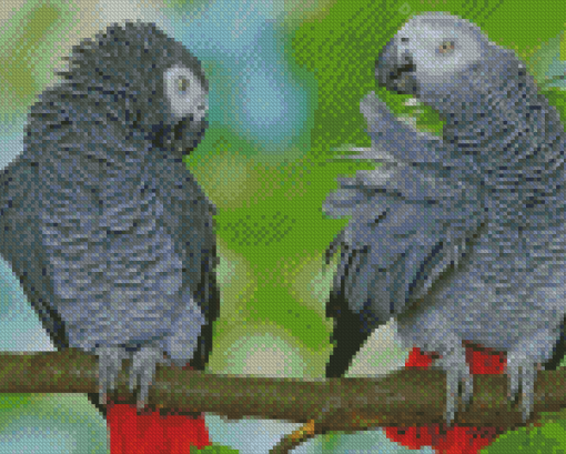 African Parrot Birds Diamond Paintings