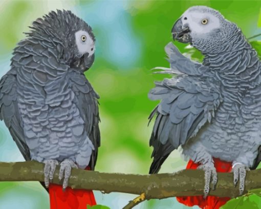 African Parrot Birds Diamond Paintings