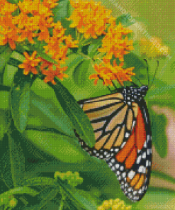 Aesthetic Orange Flower With Butterfly Diamond Paintings