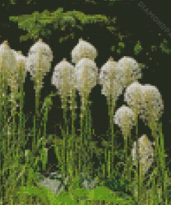 Beargrass Plant Diamond Painting