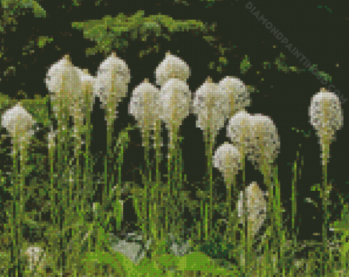 Beargrass Plant Diamond Painting