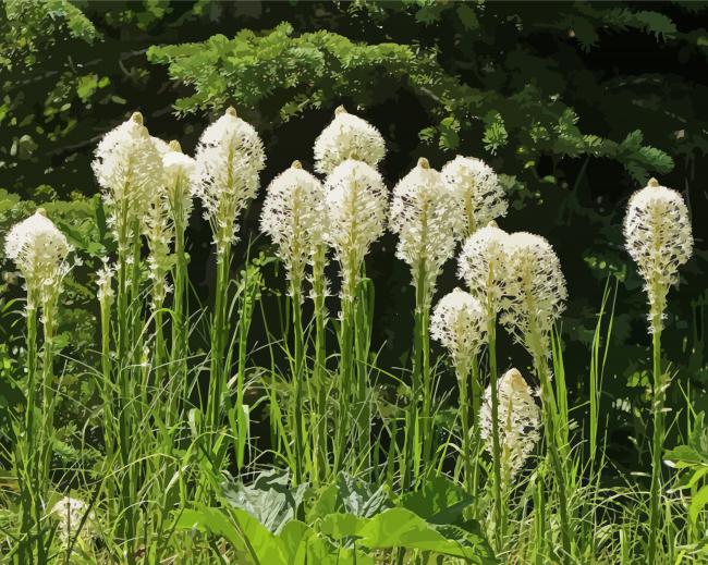 Beargrass Plant Diamond Paintings