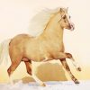 Beige Welsh Pony Diamond Paintings