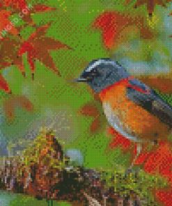 Bird In Autumn Diamond Paintings