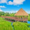 Boardwalk Hut in Marsh Diamond Paintings