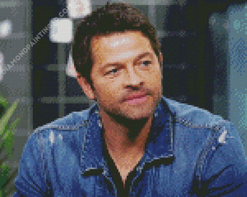 Misha Collins Diamond Paintings