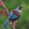 Native New Zealand Tui Bird Diamond Paintings