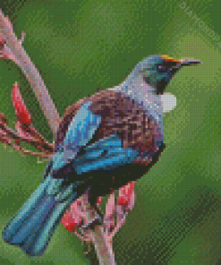 Native New Zealand Tui Bird Diamond Paintings