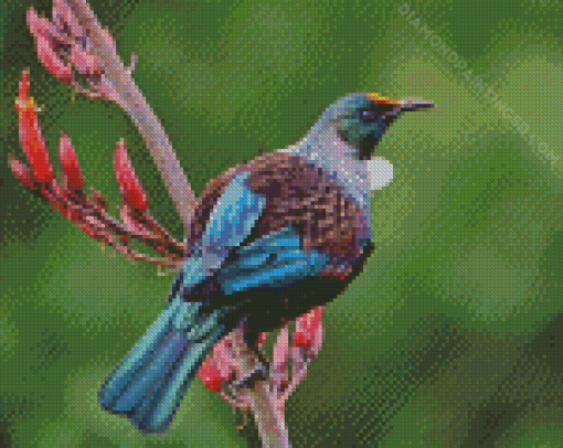 Native New Zealand Tui Bird Diamond Paintings