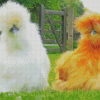 Orange And White Silkie Chickens Diamond Paintings