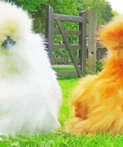 Orange And White Silkie Chickens Diamond Paintings