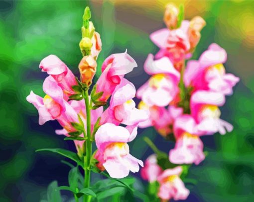 Pink Snapdragons Diamond Paintings