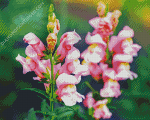 Pink Snapdragons Diamond Paintings