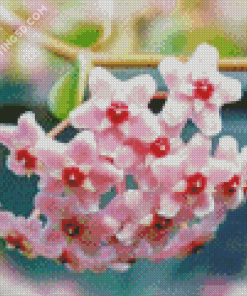 Pink Hoya Plant Diamond Paintings