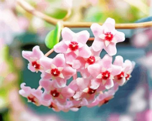 Pink Hoya Plant Diamond Paintings