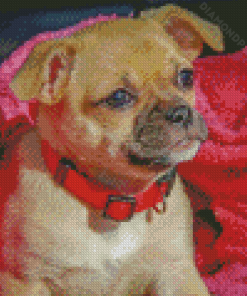 Pugwawa Dog Diamond Paintings