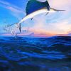 Sailfish With Sunset Diamond Paintings