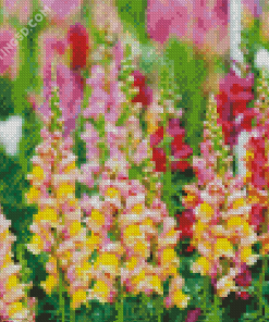 Snapdragons Plant Flowers Art Diamond Paintings