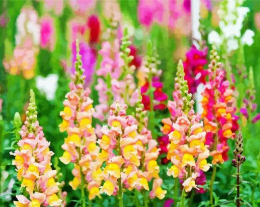 Snapdragons Plant Flowers Art Diamond Paintings