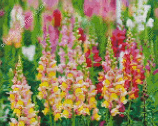 Snapdragons Plant Flowers Art Diamond Paintings