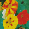 Yellow And Orange Nasturtium Flowers Diamond Paintings