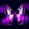 Abstract Black And Purple Butterfly Diamond Paintings