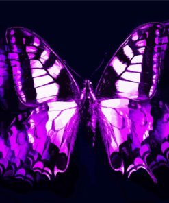 Abstract Black And Purple Butterfly Diamond Paintings