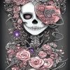 Abstract Pink Skull Lady Diamond Paintings