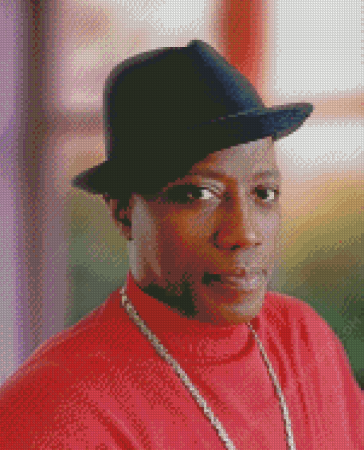 Actor Wesley Snipes Diamond Paintings