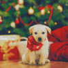 Adorable Christmas Dog Diamond Paintings