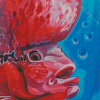 Aesthetic Flowerhorn Fish Diamond Paintings