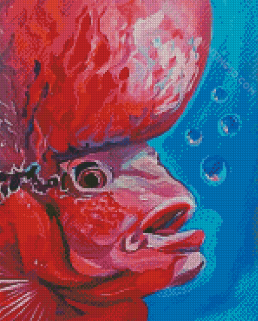 Aesthetic Flowerhorn Fish Diamond Paintings