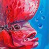 Aesthetic Flowerhorn Fish Diamond Paintings