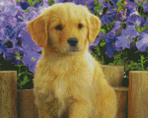 Aesthetic Golden Puppy Dog Diamond Paintings