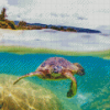 Aesthetic Hawaii Turtle Diamond Paintings