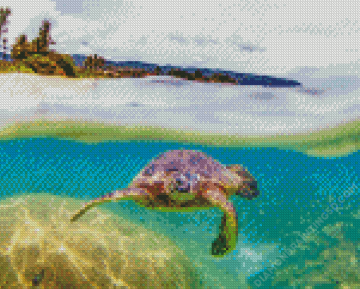 Aesthetic Hawaii Turtle Diamond Paintings