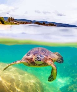 Aesthetic Hawaii Turtle Diamond Paintings