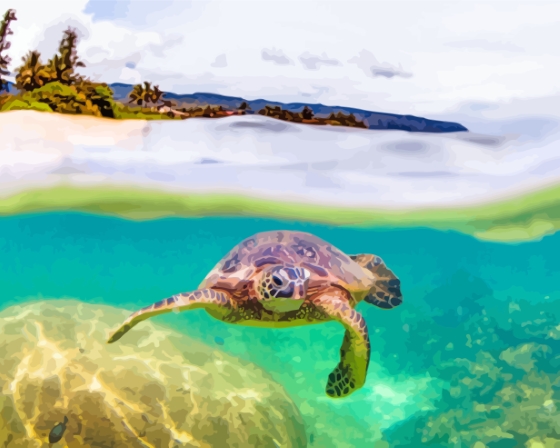 Aesthetic Hawaii Turtle Diamond Paintings