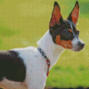 Aesthetic Rat Terriers Diamond Paintings