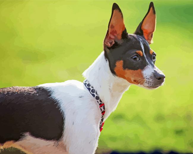 Aesthetic Rat Terriers Diamond Paintings