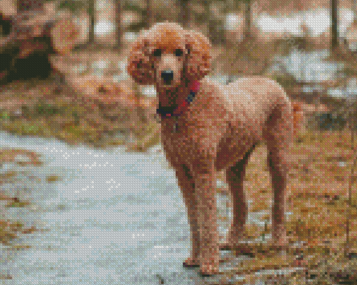 Aesthetic Standard Poodle Diamond Paintings