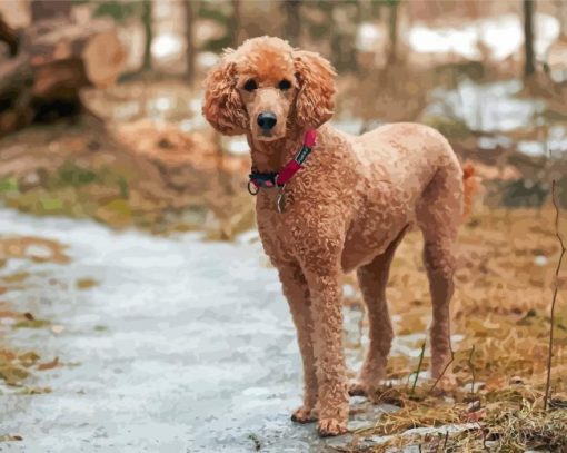 Aesthetic Standard Poodle Diamond Paintings