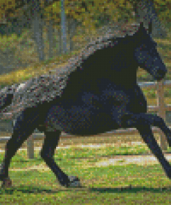 Aesthetic The Black Stallion Diamond Paintings