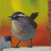 Aesthetic California Wren Diamond Paintings