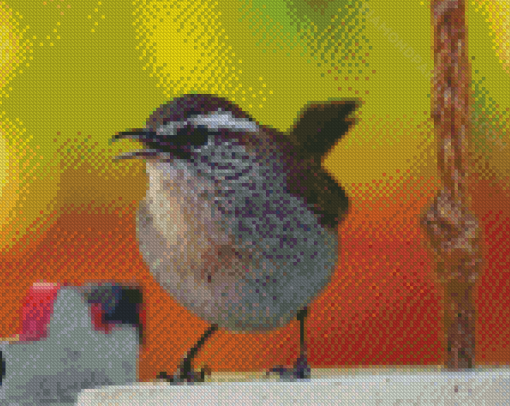 Aesthetic California Wren Diamond Paintings